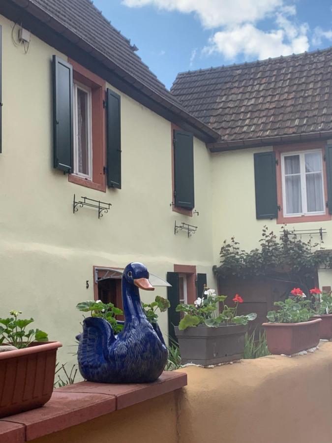 Villa Coeur D'Alsace Colmar Vignobles Ouest Avec Terrasses Wintzenheim Exterior foto