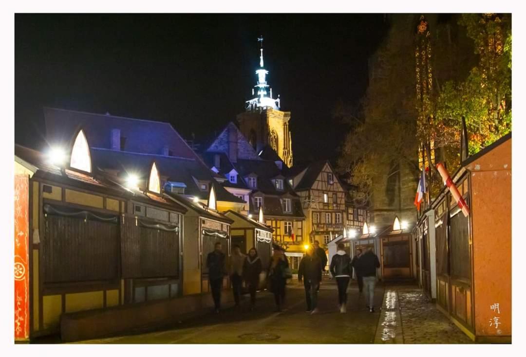 Villa Coeur D'Alsace Colmar Vignobles Ouest Avec Terrasses Wintzenheim Exterior foto